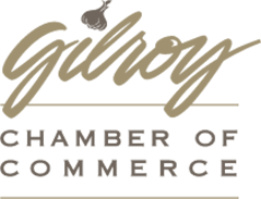 My Gilroy Dentist | Dental Cleanings, Extractions and Dental Fillings